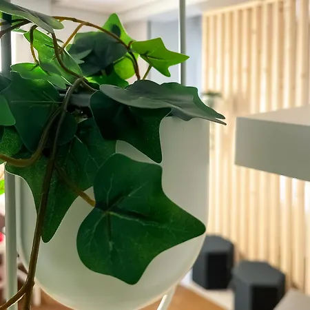 Marques 7 By Vigovacaciones