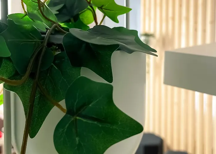 Marques 7 By Vigovacaciones